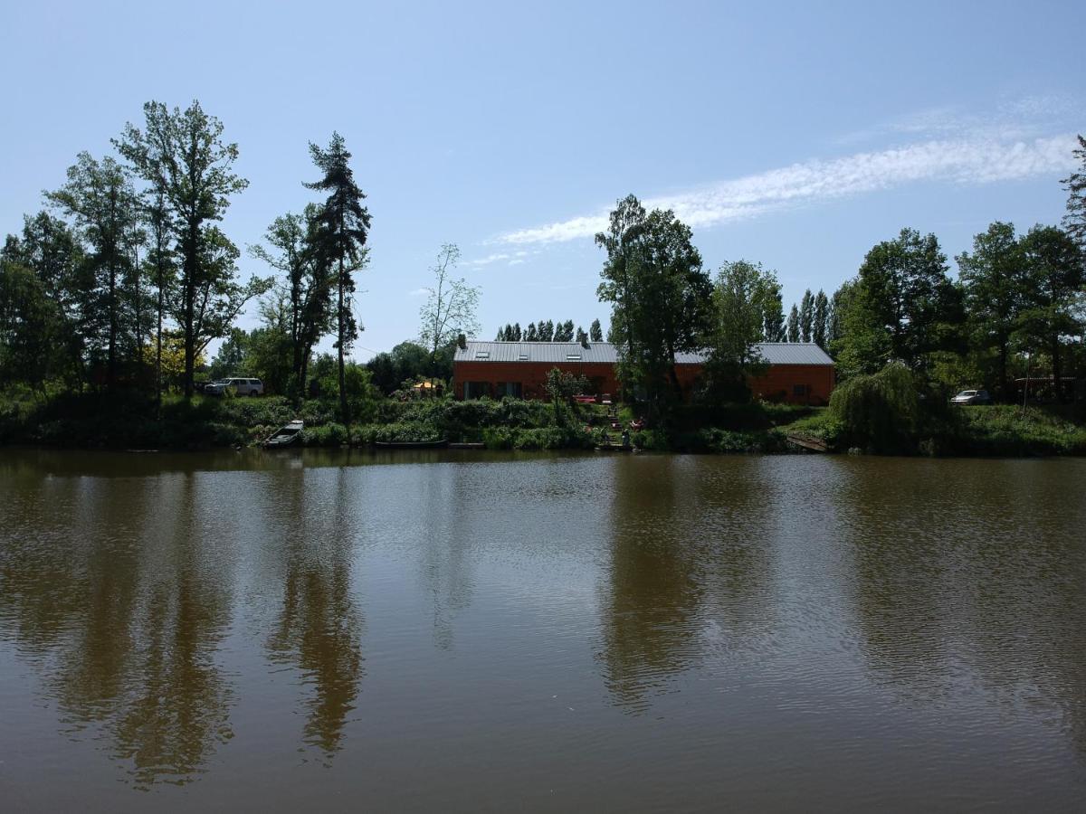 Florennes Gite Neuf 150 M2 Devant Un Grand Lac Prive De 2 Hectares Poissonneux Au Milieu Des Bois Bagian luar foto