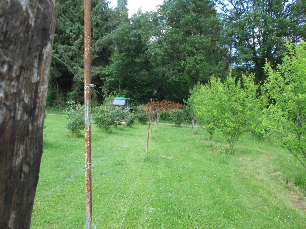 Florennes Gite Neuf 150 M2 Devant Un Grand Lac Prive De 2 Hectares Poissonneux Au Milieu Des Bois Bagian luar foto