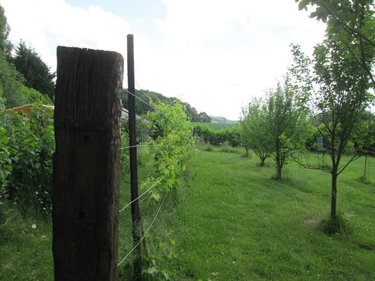 Florennes Gite Neuf 150 M2 Devant Un Grand Lac Prive De 2 Hectares Poissonneux Au Milieu Des Bois Bagian luar foto