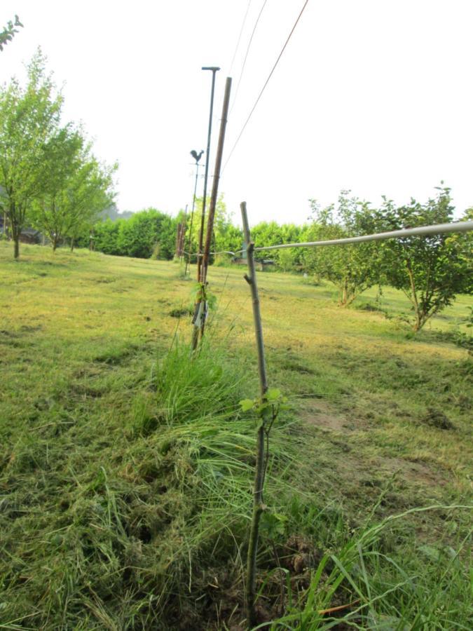 Florennes Gite Neuf 150 M2 Devant Un Grand Lac Prive De 2 Hectares Poissonneux Au Milieu Des Bois Bagian luar foto
