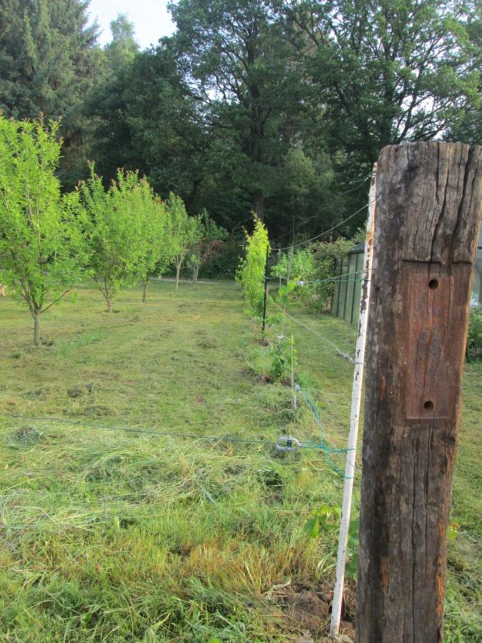 Florennes Gite Neuf 150 M2 Devant Un Grand Lac Prive De 2 Hectares Poissonneux Au Milieu Des Bois Bagian luar foto