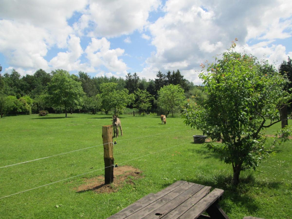 Florennes Gite Neuf 150 M2 Devant Un Grand Lac Prive De 2 Hectares Poissonneux Au Milieu Des Bois Bagian luar foto