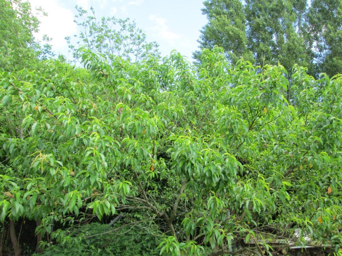 Florennes Gite Neuf 150 M2 Devant Un Grand Lac Prive De 2 Hectares Poissonneux Au Milieu Des Bois Bagian luar foto