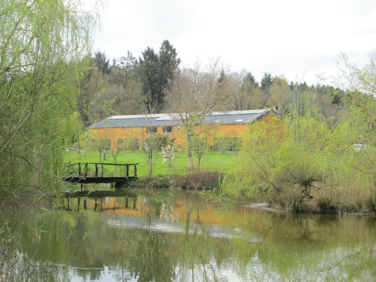 Florennes Gite Neuf 150 M2 Devant Un Grand Lac Prive De 2 Hectares Poissonneux Au Milieu Des Bois Bagian luar foto