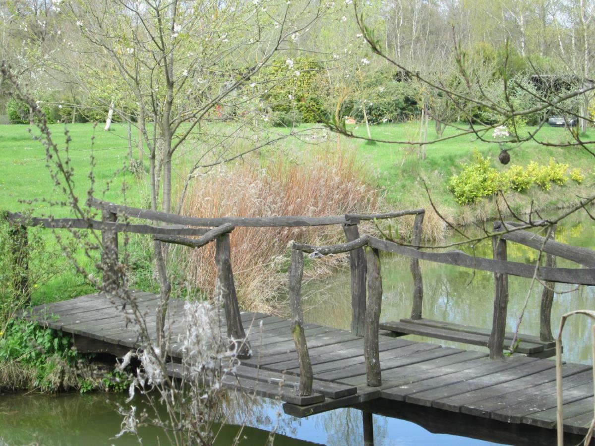 Florennes Gite Neuf 150 M2 Devant Un Grand Lac Prive De 2 Hectares Poissonneux Au Milieu Des Bois Bagian luar foto