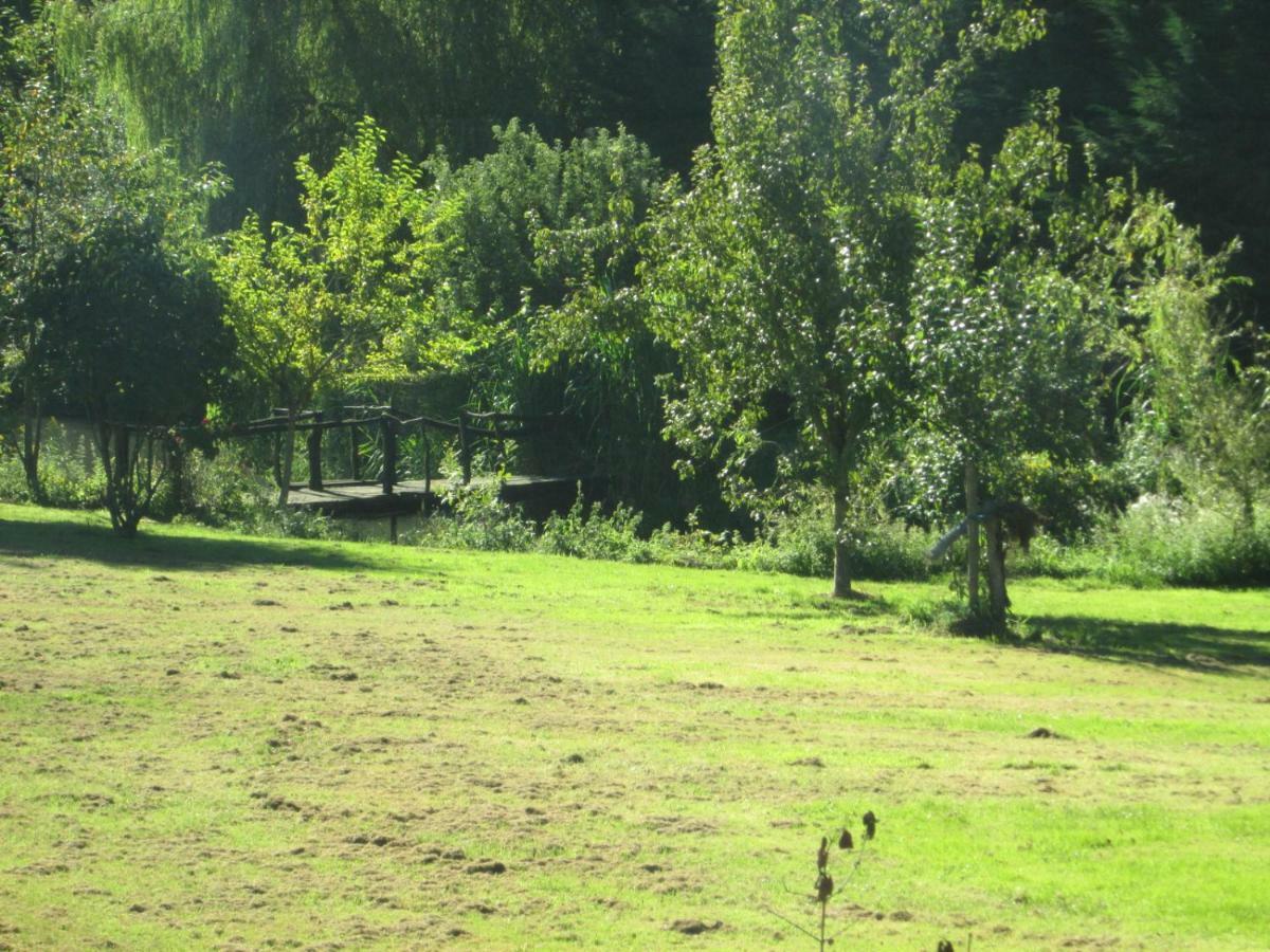 Florennes Gite Neuf 150 M2 Devant Un Grand Lac Prive De 2 Hectares Poissonneux Au Milieu Des Bois Bagian luar foto