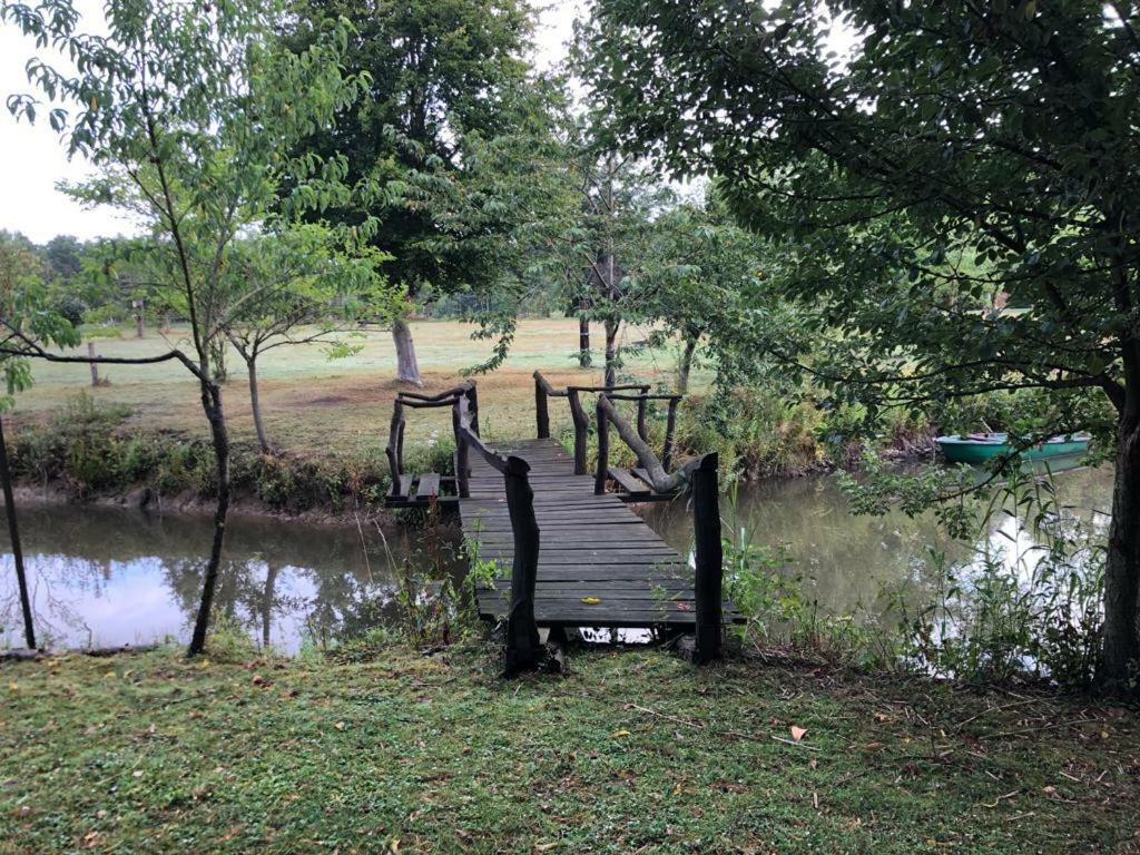 Florennes Gite Neuf 150 M2 Devant Un Grand Lac Prive De 2 Hectares Poissonneux Au Milieu Des Bois Bagian luar foto