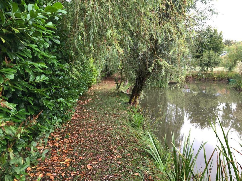 Florennes Gite Neuf 150 M2 Devant Un Grand Lac Prive De 2 Hectares Poissonneux Au Milieu Des Bois Bagian luar foto